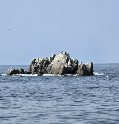 Морская прогулка 3 часа - 3