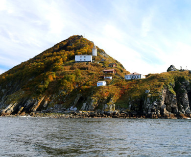 Нагаева-Недоразумения - 8